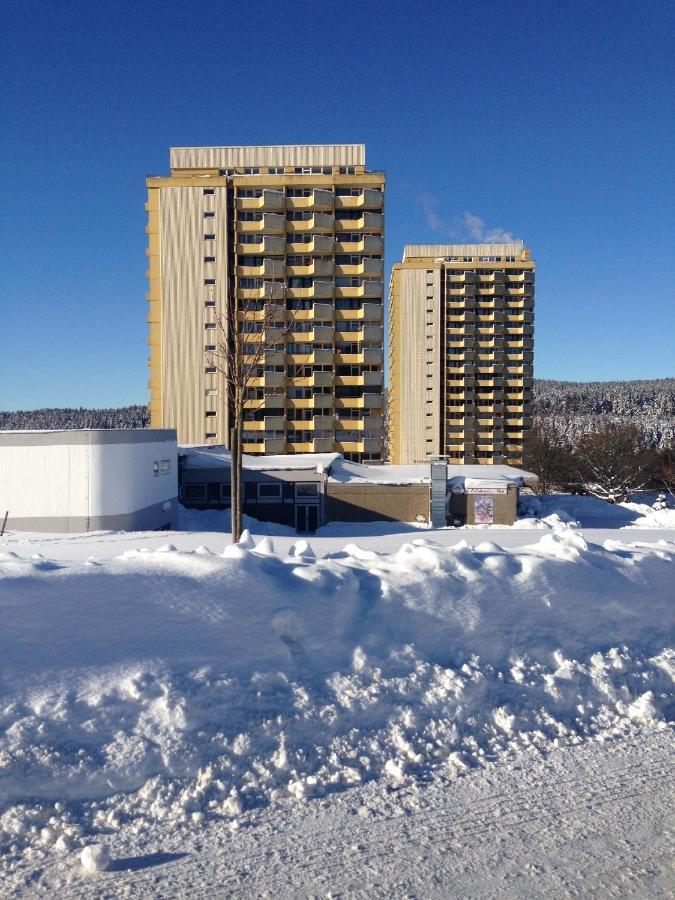 Ferienwohnung "Rodelnde Geiss" Mit Schwimmbad Браунлаге Екстериор снимка